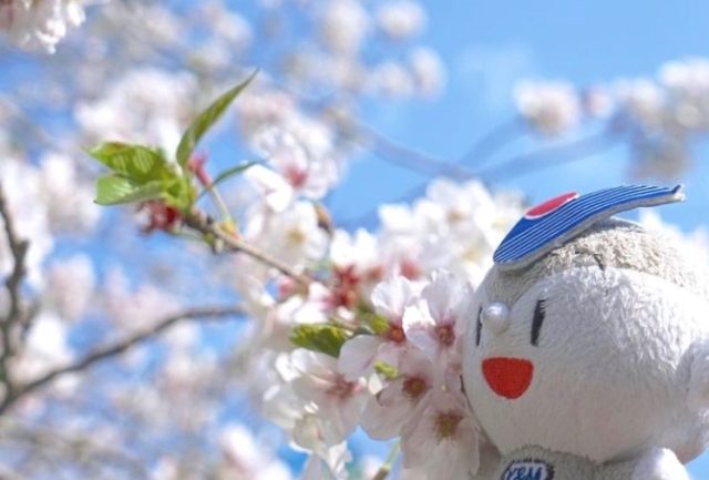 【栃木】スタッフ　イチオシ物件