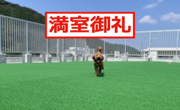 【満室御礼】薩摩川内市　ドッグラン付き★新築賃貸マンション🐶リュクス　ウエスト🐶【満室御礼】