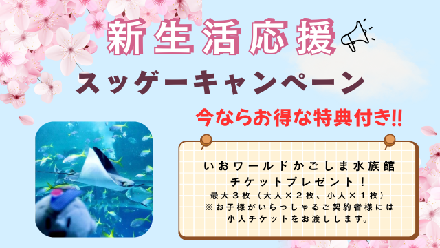 【鹿児島】スッゲーキャンペーンのお知らせ【終了しました】