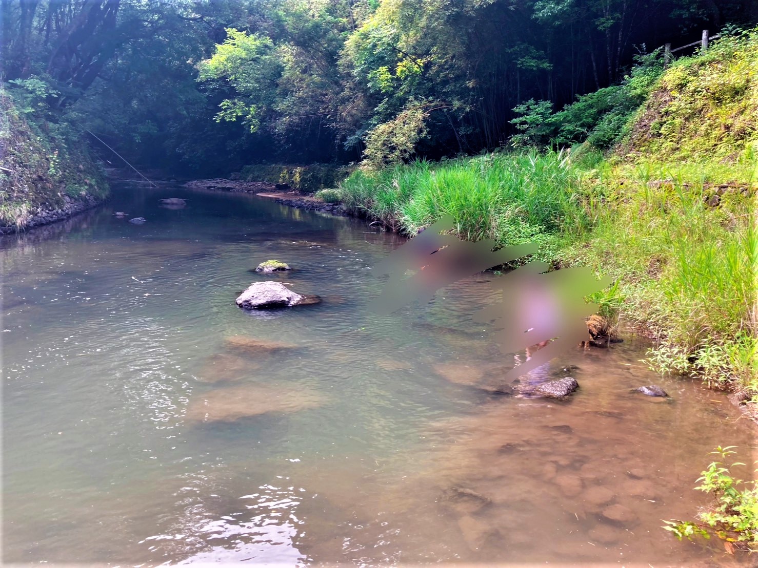 画像に alt 属性が指定されていません。ファイル名: 8a747c811d551a325d30df093cb9939c.jpg